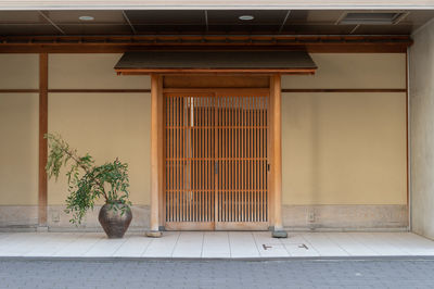Potted plant on footpath against building