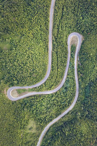 High angle view of plants growing on field