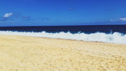 Close-up of beach against sky