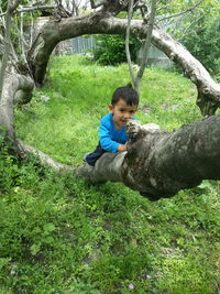 Boy on green land