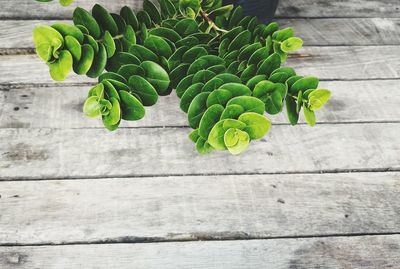 High angle view of vegetables on table