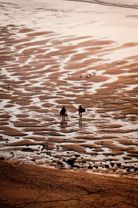 High angle view of people at beach