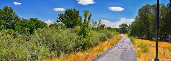 Road amidst trees against sky