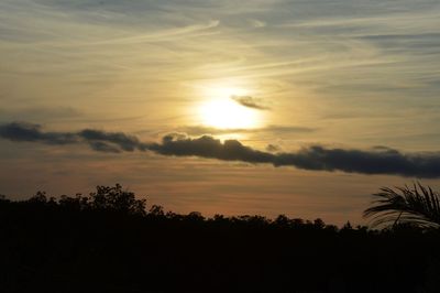Silhouette trees against sky during sunset