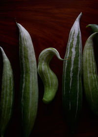 High angle view of vegetables on table