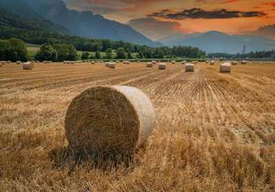 Hay bales on field against sky