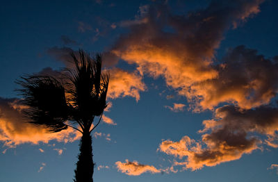 Low angle view of silhouette tree against dramatic sky