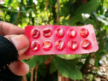 Cropped hand holding red blister pack against plants