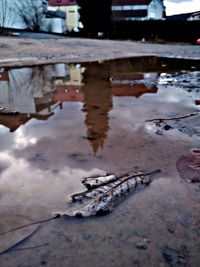 Reflection of snow in puddle on lake
