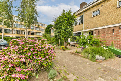 High angle view of plants growing outside house