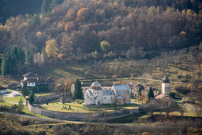 Buildings in town