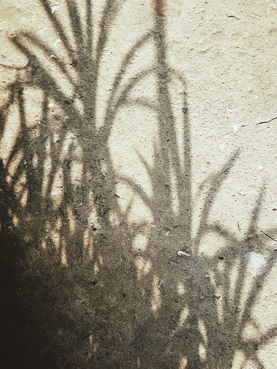 CLOSE-UP OF SHADOW ON WALL