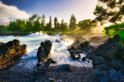 nature