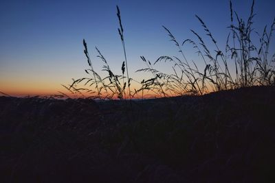 Silhouette plants on field against clear sky at sunset