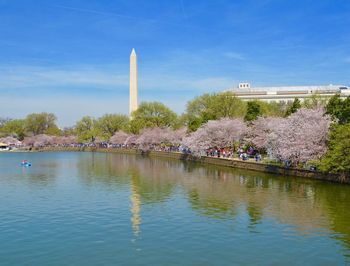 Scenic view of trees against sky
