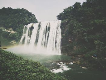 Scenic view of waterfall in forest