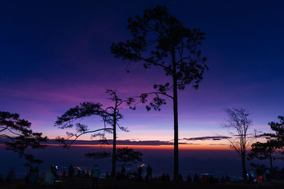 Silhouette trees on beach against sky at sunset