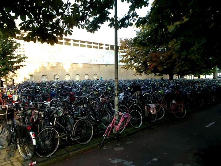 NEDERLAD BIKE PARK STATION