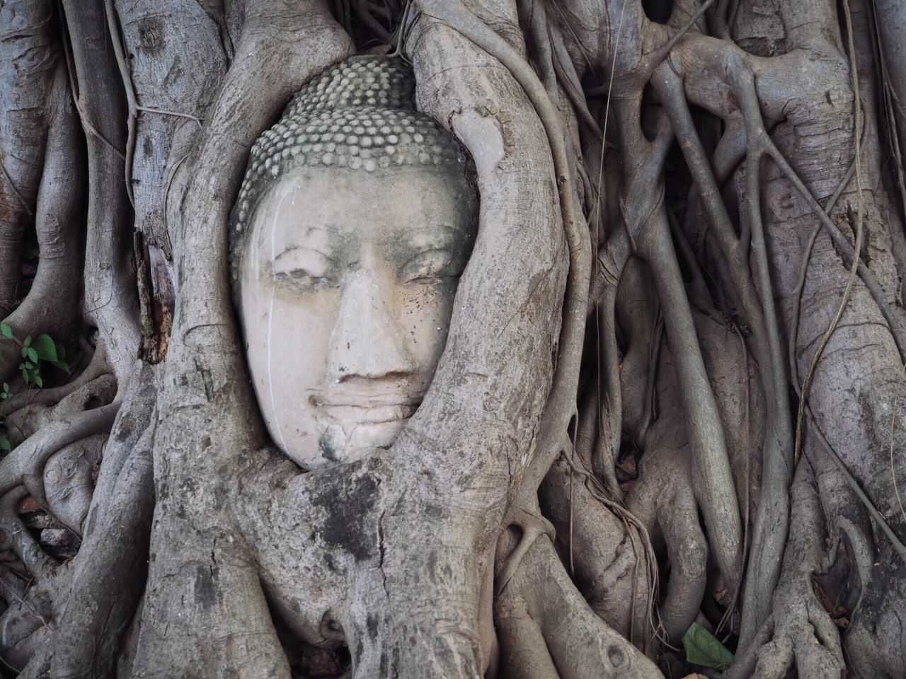 CLOSE-UP OF STATUE