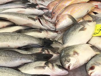 Full frame shot of fish for sale at market