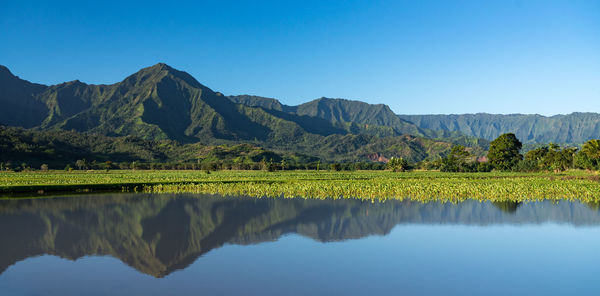 Scenic view of lake against clear sky