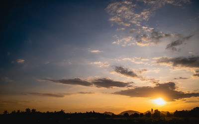 Low angle view of silhouette trees against sky during sunset