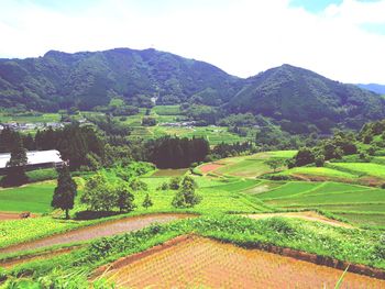 Scenic view of agricultural field against sky