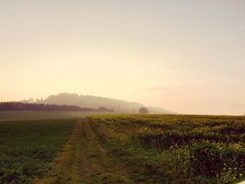 Scenic view of field against sky during foggy weather