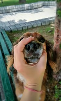 Close-up of hand holding eyeglasses