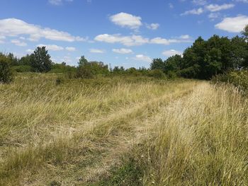 Scenic view of field against sky