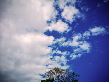 Low angle view of tree against cloudy sky