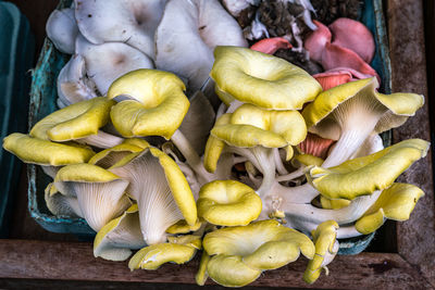 High angle view of yellow mushrooms for sale at farmers market