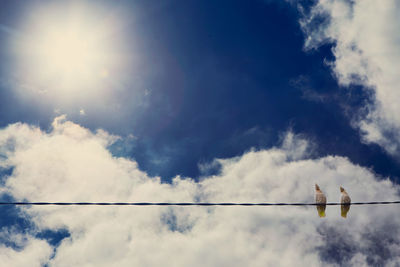 Low angle view of birds perching on cable against cloudy sky