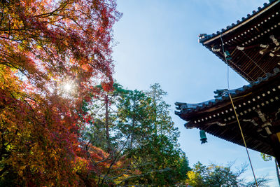 Low angle view of trees and building against sky