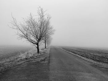 Bare tree by road on field against sky