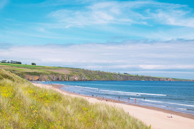 Scenic view of beach against sky