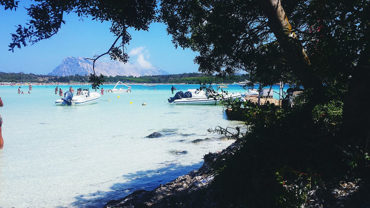 water, sea, beach, nautical vessel, tree, sky, boat, shore, tranquility, moored, transportation, mode of transport, nature, tranquil scene, scenics, beauty in nature, blue, sand, horizon over water, day