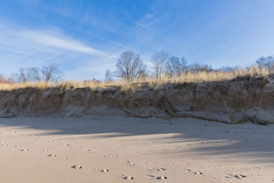 Scenic view of beach against sky during winter