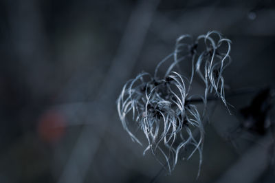 darkness
