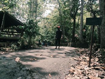 Rear view of man walking in park