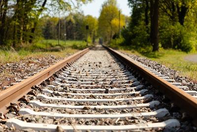 Surface level of railroad track along trees