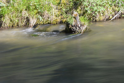 River flowing through rocks