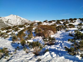 Scenic view of snowcapped mountains against clear blue sky