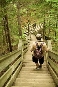 Rear view of man walking on steps in forest