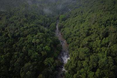 High angle view of waterfall amidst trees in forest