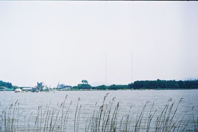 Scenic view of calm lake against clear sky