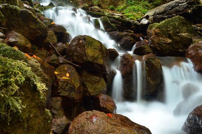 Waterfall in forest