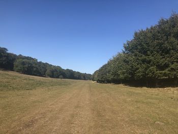 Scenic view of land against clear sky