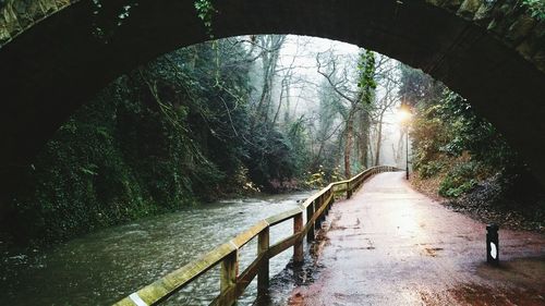 Footpath along trees