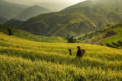 High angle view of mother with daughter at farm during sunset